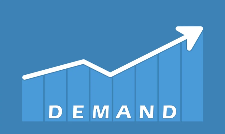 The High Demand A Dive into Software